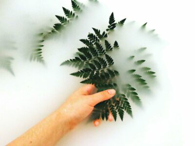 pexels-mdsnmdsnmdsn-1405772